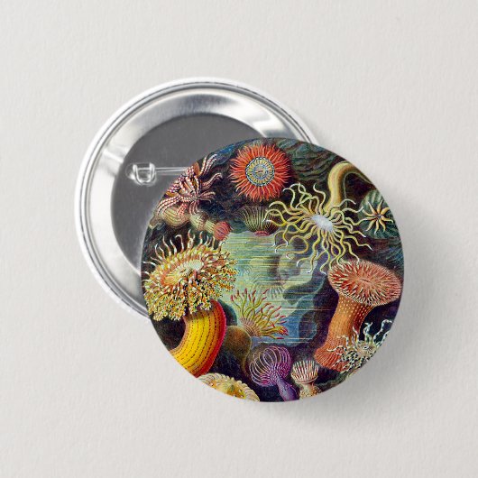 Actiniae Illustration Germa Ernst Haeckel Button (Vorne & Hinten)
