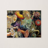 Actiniae von Ernst Haeckel Jigsaw Puzzle (Horizontal)