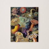 Actiniae von Ernst Haeckel Jigsaw Puzzle (Vertikal)