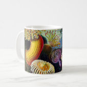 Actiniae von Ernst Haeckel Kaffeetasse (Vorderseite Links)