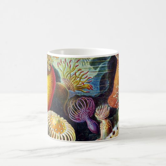 Actiniae von Ernst Haeckel Kaffeetasse (Mittel)