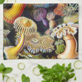 Actiniae von Ernst Haeckel Küchentuch (Gefaltet)