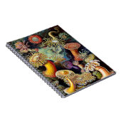 Actiniae von Ernst Haeckel Notebook Notizblock (Rechte Seite)