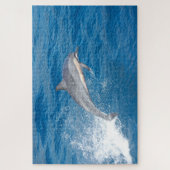 Action shot of dolphin spumping in Hawaii Puzzle (Vertikal)