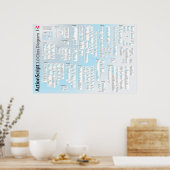 ActionScript 3 API Poster (Küche)