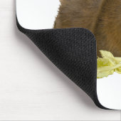 Adable Ginger Guinea Pig Pet Fotomodell Mousepad (Ecke)