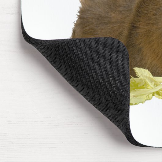 Adable Ginger Guinea Pig Pet Fotomodell Mousepad (Ecke)