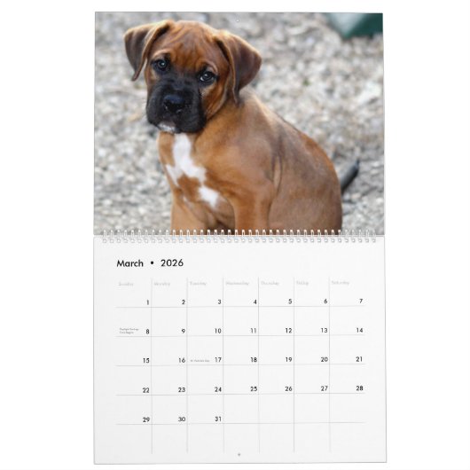 Adable Puppies Personalisiert Calendar Kalender (Mär 2026)