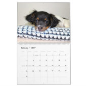 Adable Puppies Personalisiert Calendar Kalender (Feb 2027)