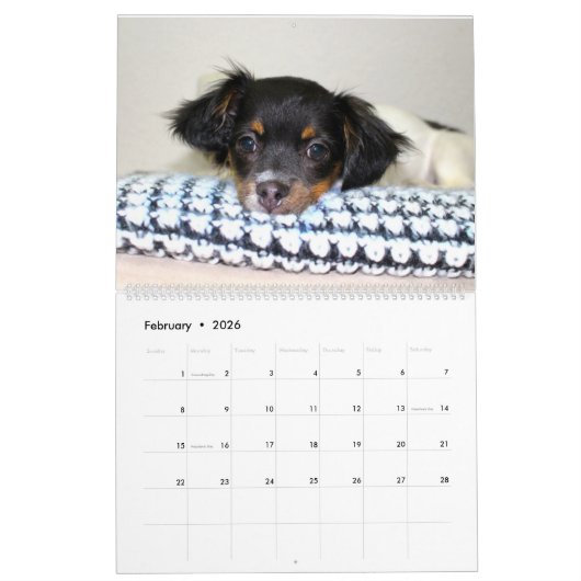 Adable Puppies Personalisiert Calendar Kalender (Feb 2026)