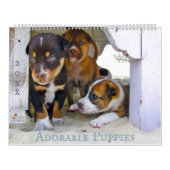 Adable Puppies Personalisiert Calendar Kalender (Titelbild)