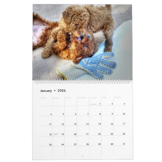 Adable Puppies Personalisiert Calendar Kalender (Jan 2026)