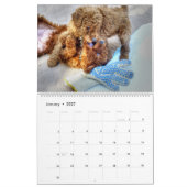 Adable Puppies Personalisiert Calendar Kalender (Jan 2027)