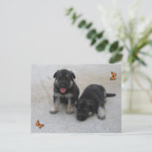 Adable Puppy Postcard Postkarte (Stehend Vorderseite)