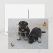 Adable Puppy Postcard Postkarte (Vorne/Hinten)