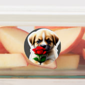 Adable Puppy Stickers Collection Etiketten (Befestigt)