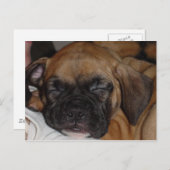 Adable Welpenschlafkarte Postkarte (Vorne/Hinten)