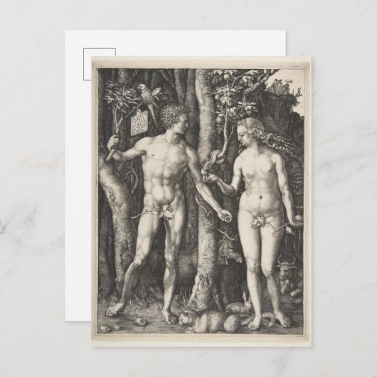 Adam and Eve, 1504 Postkarte (Vorne/Hinten)