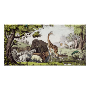 Adam benennt die Kreaturen Poster