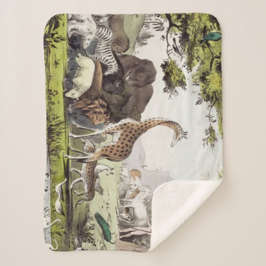 Adam benennt die Kreaturen Sherpadecke (Vorderseite)