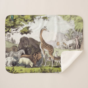 Adam benennt die Kreaturen Sherpadecke