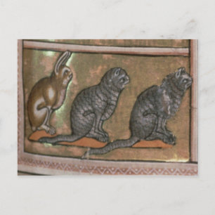 Adam benennt die Tiere in North Midlands Postkarte