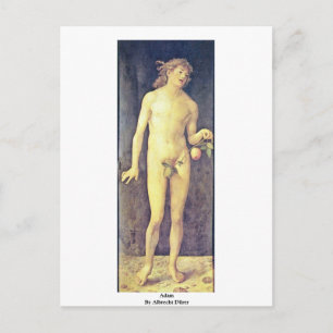 Adam by Albrecht Dürer Postkarte