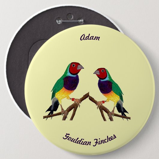 ADAM ~ Gouldian Finch ~ Personalisiert ~ Button (Vorne & Hinten)