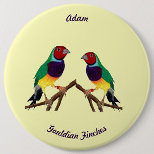 ADAM ~ Gouldian Finch ~ Personalisiert ~ Button