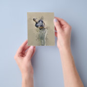 Adam Scott - Beeindruckender Spieler Flyer (Gruppe)