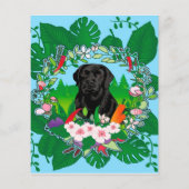 Adam Scott - Beeindruckender Spieler Flyer (Hinten)