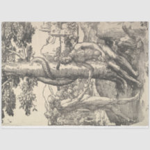 Adam und Eva: Der Fall des Menschen (Lucas van Ley