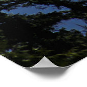 Adams 2 w/Scripture Verse Poster (Ecke)