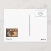 Adams allererste Hose Postkarte (Rückseite)