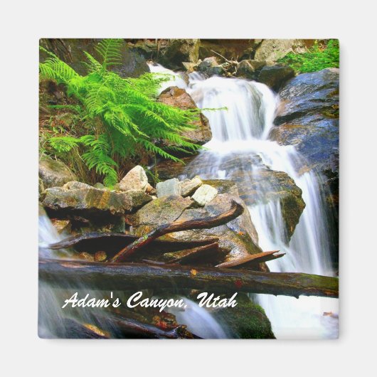 Adams Canyon, Utah Magnet (Vorne)