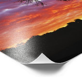 Adansonia digitata, 2 fotodruck (Ecke)