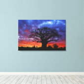 Adansonia digitata, 2 leinwanddruck (Insitu (Holzboden))