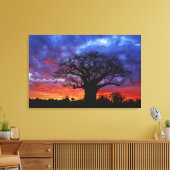 Adansonia digitata, 2 leinwanddruck (Insitu (Wohnzimmer))