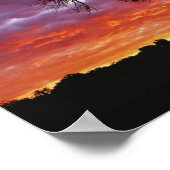 Adansonia digitata, 2 poster (Ecke)