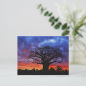 Adansonia digitata, 2 postkarte (Stehend Vorderseite)