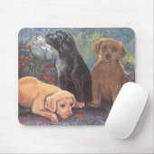 Adayatthepond Mousepad (Mit Mouse)