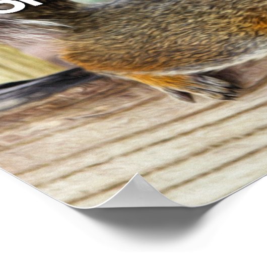 ADD Eichhörnchen-Foto Poster (Ecke)