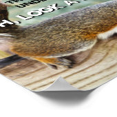 ADD Eichhörnchen-Foto Poster (Ecke)