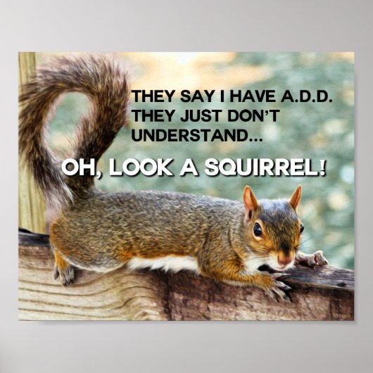 ADD Eichhörnchen-Foto Poster (Vorne)