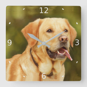ADD PET PHOTO QUADRATISCHE WANDUHR