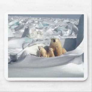 Add SLOGAN to Save Arctic Polar Bears Planet Ice Mousepad