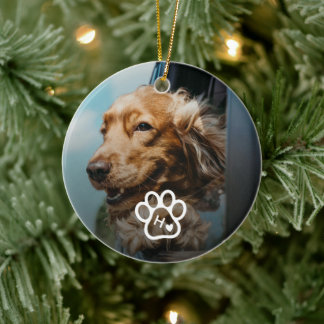 Add Your Own Photo Dog Pets Monogram Keramik Ornament