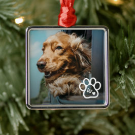 Add Your Own Photo Dog Pets Monogram Ornament Aus Metall