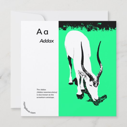 Addax/Oryx ~ Miriam Kilmer, gerecycelt Inhalt (Vorderseite)