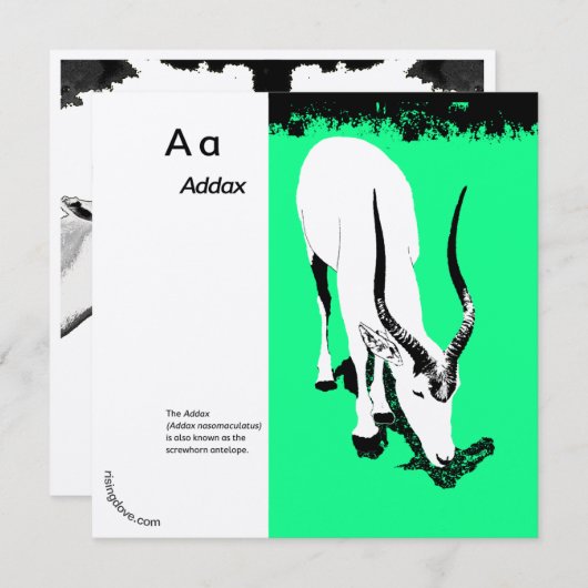 Addax/Oryx ~ Miriam Kilmer, gerecycelt Inhalt (Vorne/Hinten)